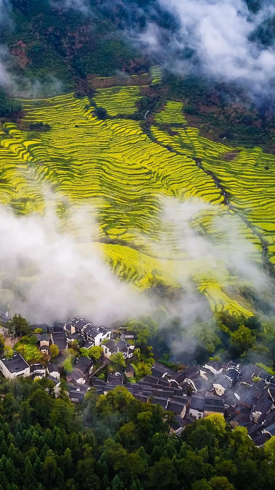 江西，红色沃土与绿色家园的和谐交响曲
